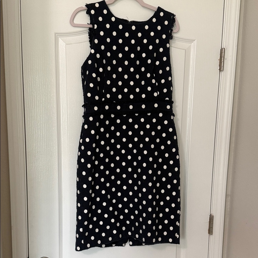 J. Crew Navy and White Polka Dot Dress